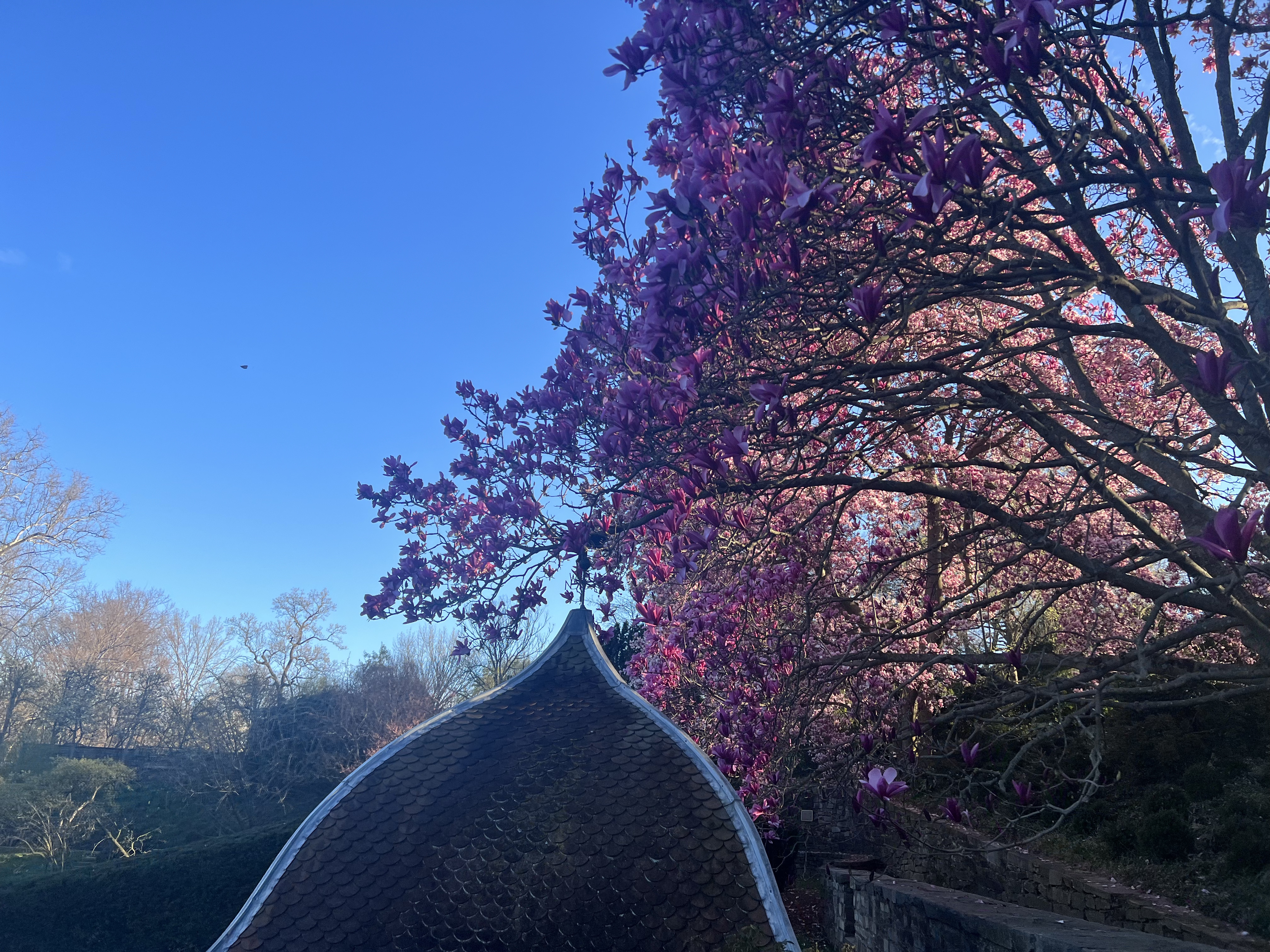 Depths in the Courtyard